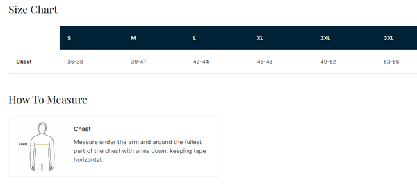 DTP/KCAP_The North Face Ambition Polo