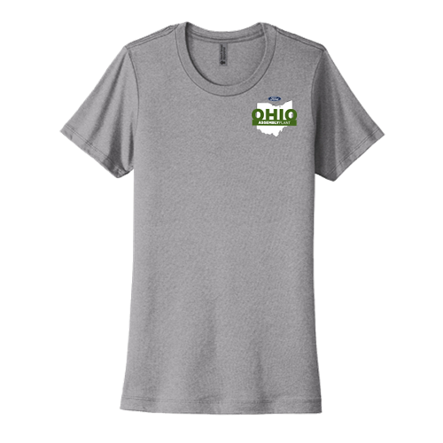 Next Level Cotton SS tee, Ladies